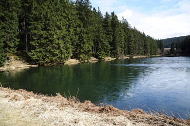 Mittlerer Grumbacher Teich (2) Oberharzer Wasserwirtschaft Bilder